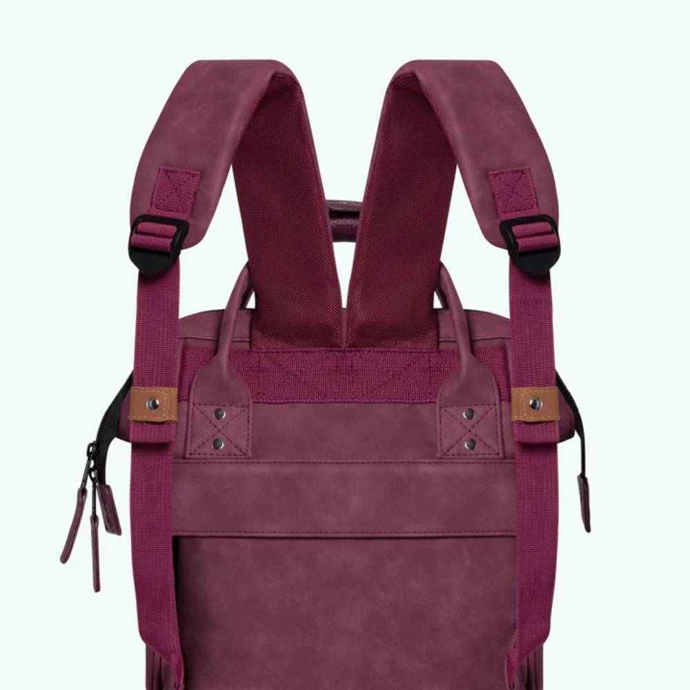 Petit sac à dos Cabaïa Adventurer Mini ADV S DELHI couleur Bordeaux, vue de dos