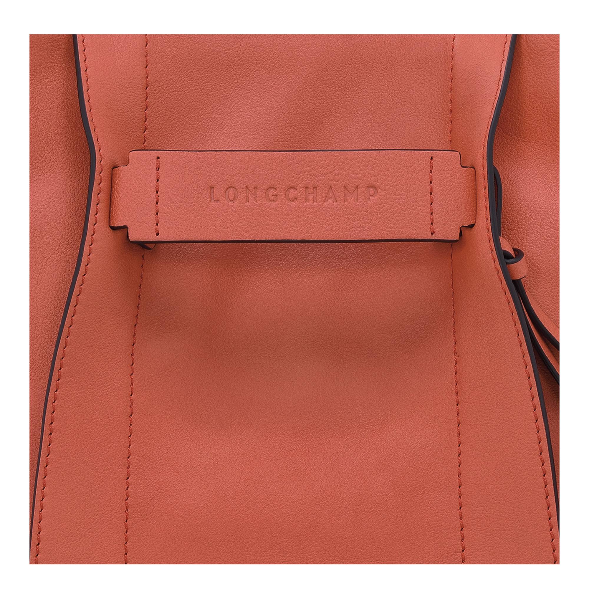Longchamp 3d 2025 besace