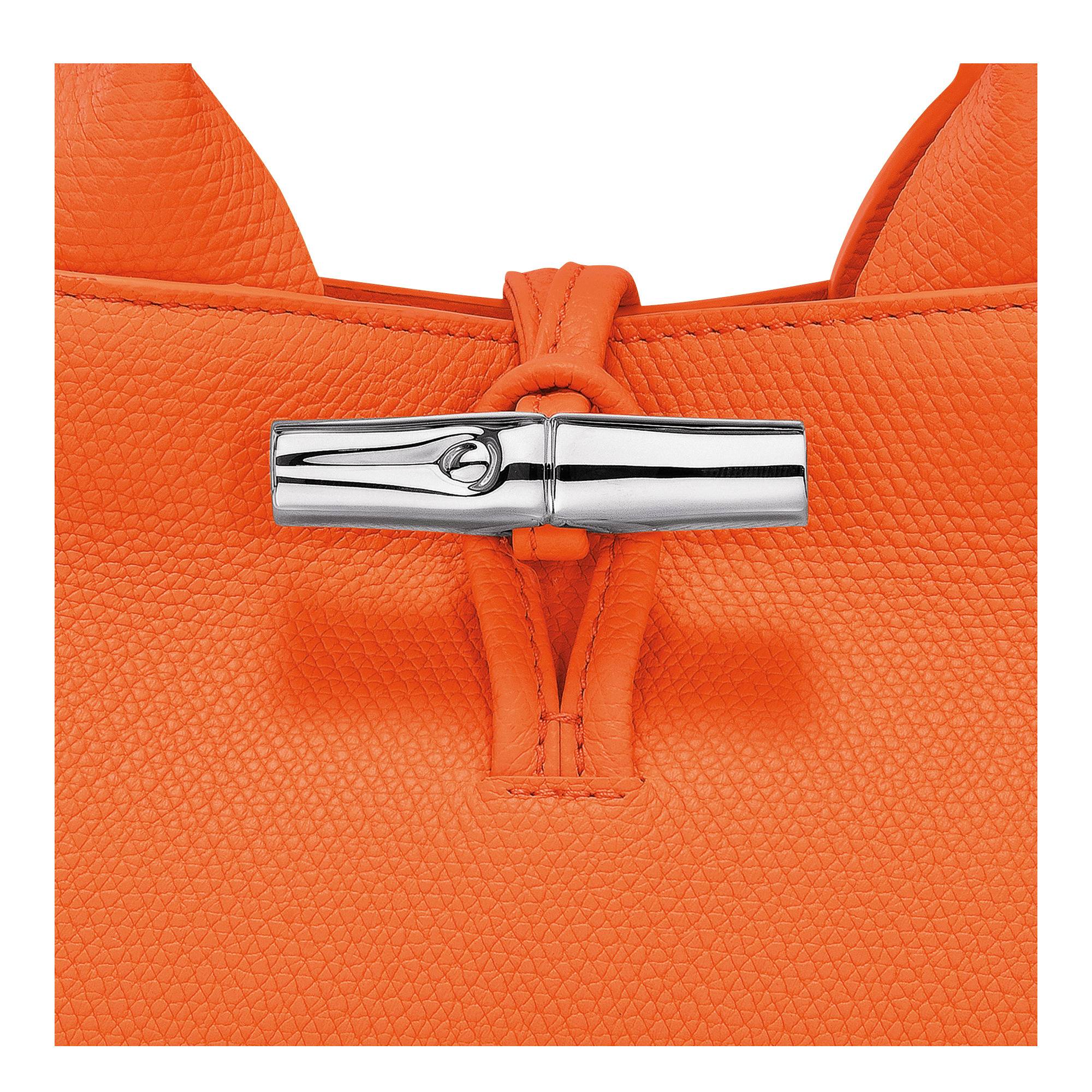 Sac a main baguette Longchamp Roseau a bandouliere 10280HFP