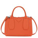 Petit sac à main S Longchamp Roseau 10095HPN 017 couleur  orange, vue de dos